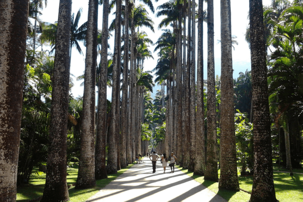 Novo Concurso Jardim Botânico RJ: Comissão Formada e 20 Vagas Anunciadas