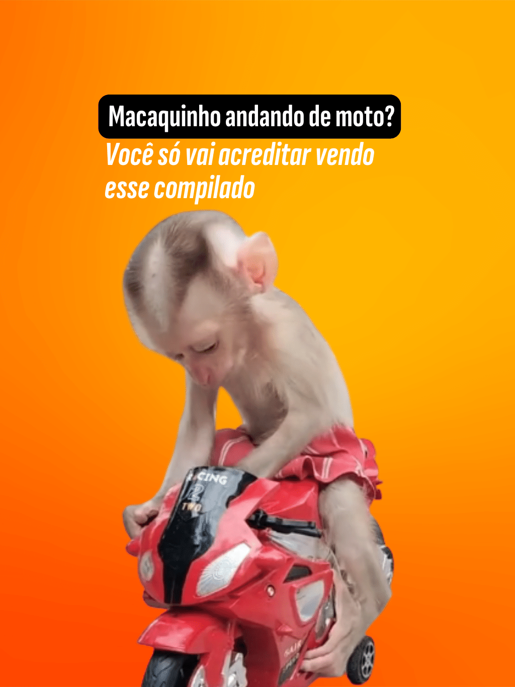 Spotify sobe preço da subscrição Premium em alguns mercados a partir de setembro - Imagem do artigo original