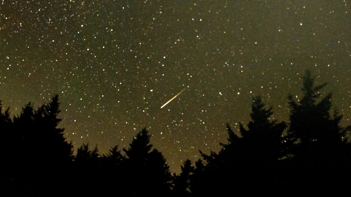 Chuva de meteoros Perseidas atinge o pico a 12 e 13 de agosto com até 100 estrelas-cadentes por hora - Imagem do artigo original