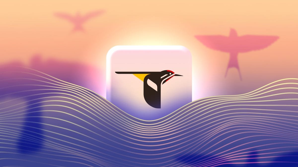 App Merlin Bird ID transforma observação de aves em ferramenta de atenção plena - Imagem do artigo original